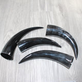4 Polished Cow Horns #165    Natural colored
