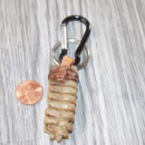 Very Large Rattlesnake Rattle Key Ring   #0465       Mountain Man Key Chain