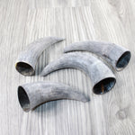 4 Raw Unfinished Cow Horn Tips #7647 Natural Colored
