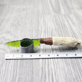 Coyote Foot Handle Glass Blade Ornamental Knife #1856    Mountain Man Knife