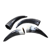 4 Small Polished Cow Horns #3856    Natural colored b