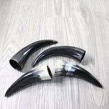 4 Small Polished Cow Horns #3856    Natural colored b