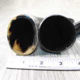 4 Small Polished Cow Horns #3856    Natural colored b