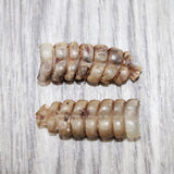 2 Rattlesnake Rattles  #565    Taxidermy Diamondback Sidewinder