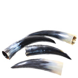 4 Polished Cow Horns #6257    Natural colored