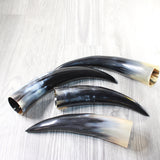 4 Polished Cow Horns #6257    Natural colored