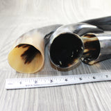 4 Polished Cow Horns #6257    Natural colored