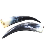 2 Polished Cow Horns #4257   Natural colored