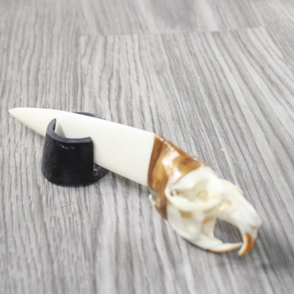 Muskrat Skull Handle Bone Blade Ornamental Knife #33-157    Mountain Man Knife