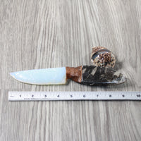 Orthoceras Fossil Handle Opalite Blade Ornamental Knife #2257     Mountain Man Knife