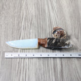 Orthoceras Fossil Handle Opalite Blade Ornamental Knife #2257     Mountain Man Knife