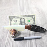 Orthoceras Fossil Handle Opalite Blade Ornamental Knife #2257     Mountain Man Knife
