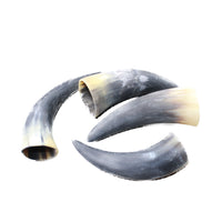 4 Small Raw Unfinished Cow Horns #0657   Natural Colored