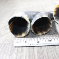 4 Small Raw Unfinished Cow Horns #0657   Natural Colored