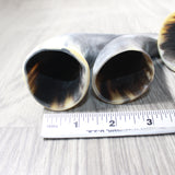 4 Small Raw Unfinished Cow Horns #0657   Natural Colored