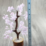 1 Medium Rose Quartz Chip Tree About 9 Inches Tall #0647