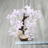 1 Medium Rose Quartz Chip Tree About 9 Inches Tall #0647