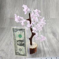 1 Medium Rose Quartz Chip Tree About 9 Inches Tall #0647