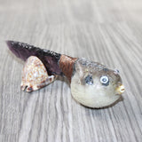 Parrot Puffer Fish Handle Glass Blade Ornamental Knife #1565    Mountain Man Knife
