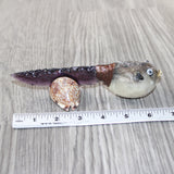 Parrot Puffer Fish Handle Glass Blade Ornamental Knife #1565    Mountain Man Knife