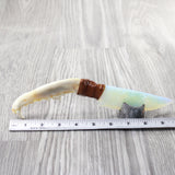 Coyote Jaw Handle Opalite Blade Ornamental Knife #0957     Mountain Man Knife