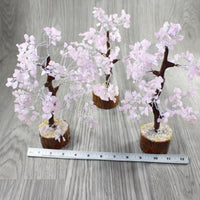 3 Medium Rose Quartz Chip Trees About 9 Inches Tall #0347