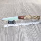 Cholla Cactus Wood Handle Opalite Blade Ornamental Knife # 2165    Mountain Man Knife