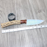Cholla Cactus Wood Handle Opalite Blade Ornamental Knife # 2165    Mountain Man Knife