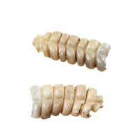 2 Small Rattlesnake Rattles  #2057    Taxidermy Diamondback Sidewinder