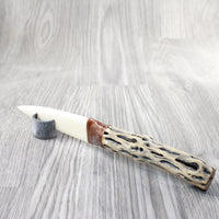 Cholla Cactus Wood Handle Bone Blade Ornamental Knife #3157   Mountain Man Knife