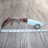 Turkey Foot Handle Opalite Blade Ornamental Knife #2565     Mountain Man Knife