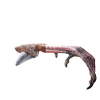 Turkey Foot Handle Stone Blade Ornamental Knife #9157    Mountain Man Knife