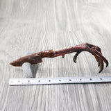 Turkey Foot Handle Stone Blade Ornamental Knife #9157    Mountain Man Knife