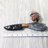 Orthoceras Fossil Handle Obsidian Blade Ornamental Knife #2257  Mountain Man Knife