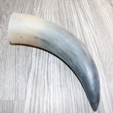 1 Raw Unfinished Cow Horn #2165   Natural Colored