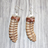 Very Large Rattlesnake Rattle Earrings  #1665  Mountain Man Earrings
