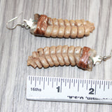Very Large Rattlesnake Rattle Earrings  #1665  Mountain Man Earrings