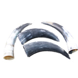 4 Raw Unfinished Cow Horns #4147 Natural Colored a
