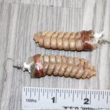 Very Large Rattlesnake Rattle Earrings  #1665  Mountain Man Earrings