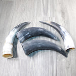 4 Raw Unfinished Cow Horns #4147 Natural Colored