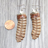 Very Large Rattlesnake Rattle Earrings  #1665  Mountain Man Earrings