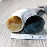 4 Raw Unfinished Cow Horns #4147 Natural Colored a