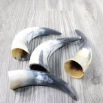 4 Small Raw Unfinished Cow Horns #9148 Natural Colored