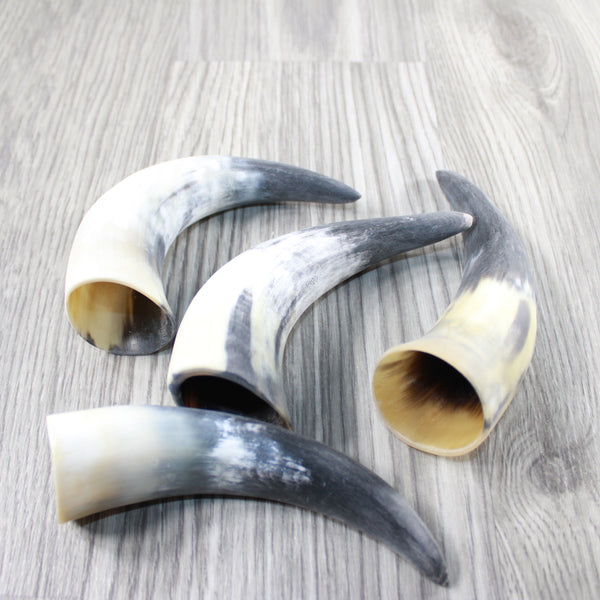 4 Small Raw Unfinished Cow Horns #9148 Natural Colored