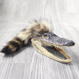 Alligator Head with Raccoon Tail Mohawk  #6457