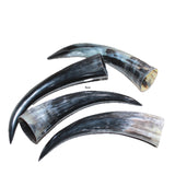 4 Polished Cow Horns #4565    Natural colored