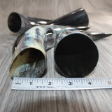 4 Polished Cow Horns #4565    Natural colored