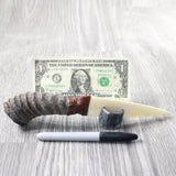 Springbok Horn Handle Bone Blade Ornamental Knife #1757    Mountain Man Knife