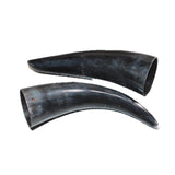 2 Small Polished Cow Horns #465    Natural colored