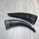 2 Small Polished Cow Horns #465    Natural colored